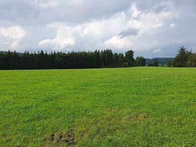 Landwirtschaftliche Fläche zum Kauf provisionsfrei 140.000 € 31.295 m² Friesenried Friesenried 87654