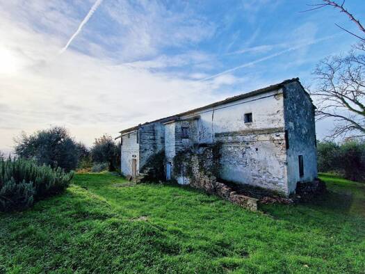 Rustico zum Kauf 220.000 € 4 Zimmer 215 m² 10.000 m² Grundstück frei ab sofort Palaia 56036