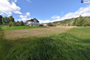 Grundstück zum Kauf 98.500 € 1.184 m² Grundstück Bad Gams 8524