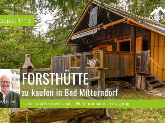 Land-/Forstwirtschaft zum Kauf 17.406 m² Grundstück Bad Mitterndorf 8983