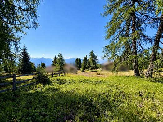 Grundstück zum Kauf 298.000 € 660 m² Grundstück Gmünd in Kärnten 9853