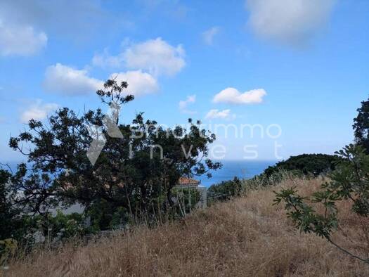 Land-/Forstwirtschaft zum Kauf 140.000 € Municipality of Andros 845 01