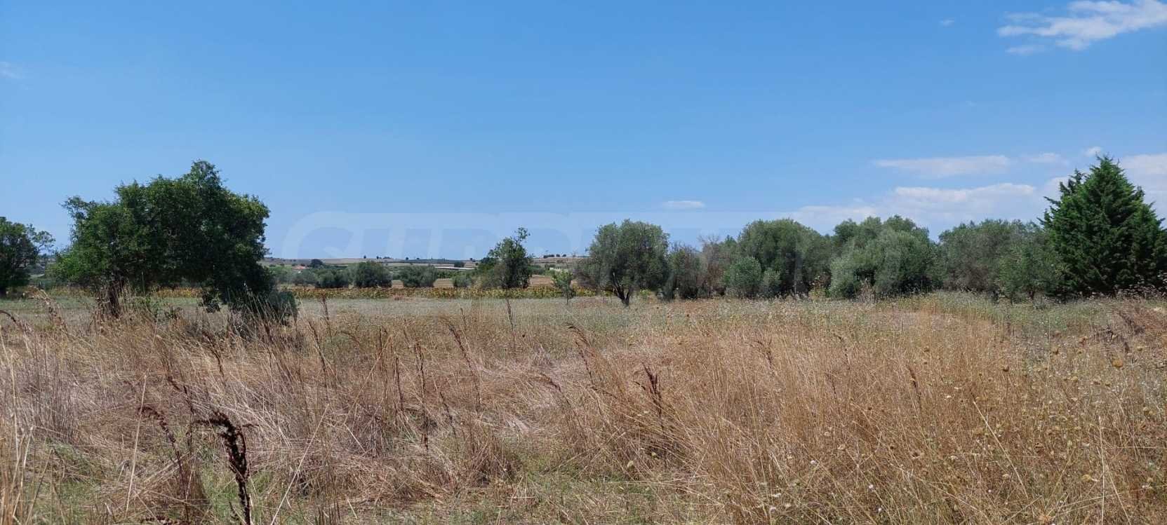 Landwirtschaftliche Fläche zum Kauf 100.000 € Afitos