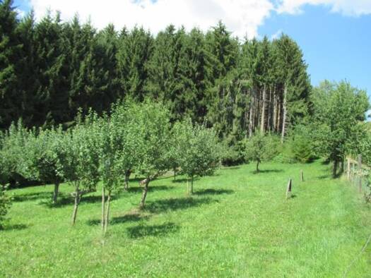 Landwirtschaftliche Fläche zum Kauf 12.504 m² Grundstück Hutthurm Hutthurm 94116