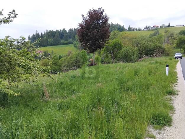 Grundstück zum Kauf 49.000 € 834 m² Grundstück Griffen 9112