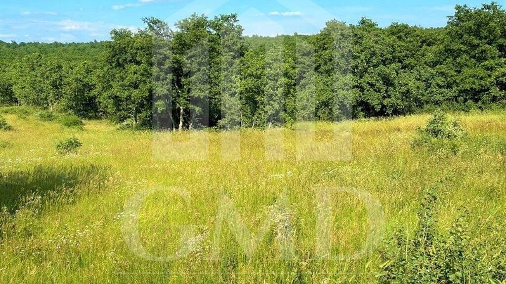 Land-/Forstwirtschaft zum Kauf 29.500 € Vodnjan