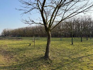 Grundstück zum Kauf 65.000 € 2.000 m² Grundstück Gräfendorf Gräfendorf 14913