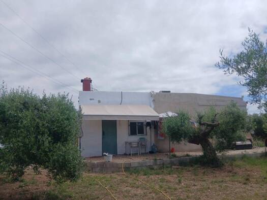 Acker-/Waldstück zum Kauf 155.000 € Benicarló 12580