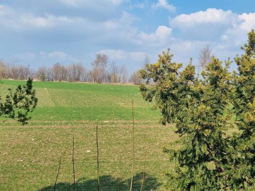 Einfamilienhaus zum Kauf 281.000 € 4 Zimmer 125 m² 1.090 m² Grundstück Liegau-Augustusbad Radeberg 01454