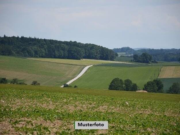 Land-/Forstwirtschaft zum Kauf 4.638 € 1.364 m² Grundstück Ober-Saulheim Saulheim 55291
