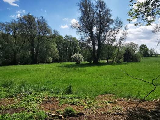 Einfamilienhaus zum Kauf 599.000 € 5 Zimmer 143 m² 416 m² Grundstück Konradshöhe Berlin 13505