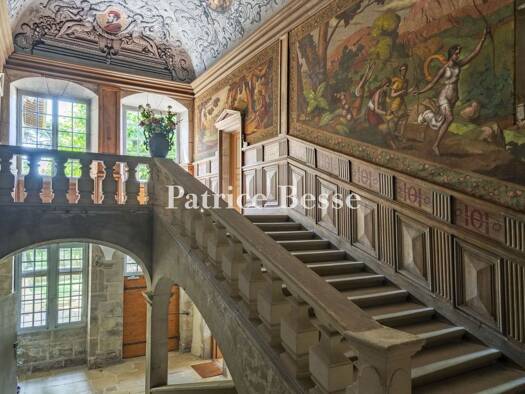 Schloss zum Kauf 350.000 € 3 Zimmer 181,3 m² 50.931 m² Grundstück Chavannes 26260