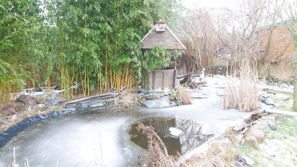 Doppelhaushälfte zum Kauf 220.000 € 4 Zimmer 120 m² 823 m² Grundstück Wismar-Nord Wismar 23970