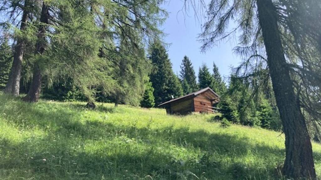 Haus zum Kauf 444.000 € 2 Zimmer 36 m² 15.000 m² Grundstück PADOLA 32040