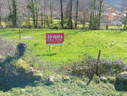 Acker-/Waldstück zum Kauf 119.000 € Bareyo 39813
