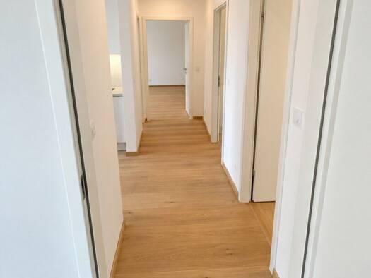 Wohnung zur Miete 1.090 € 2 Zimmer 50 m² frei ab 01.11.2026 Wien 1230