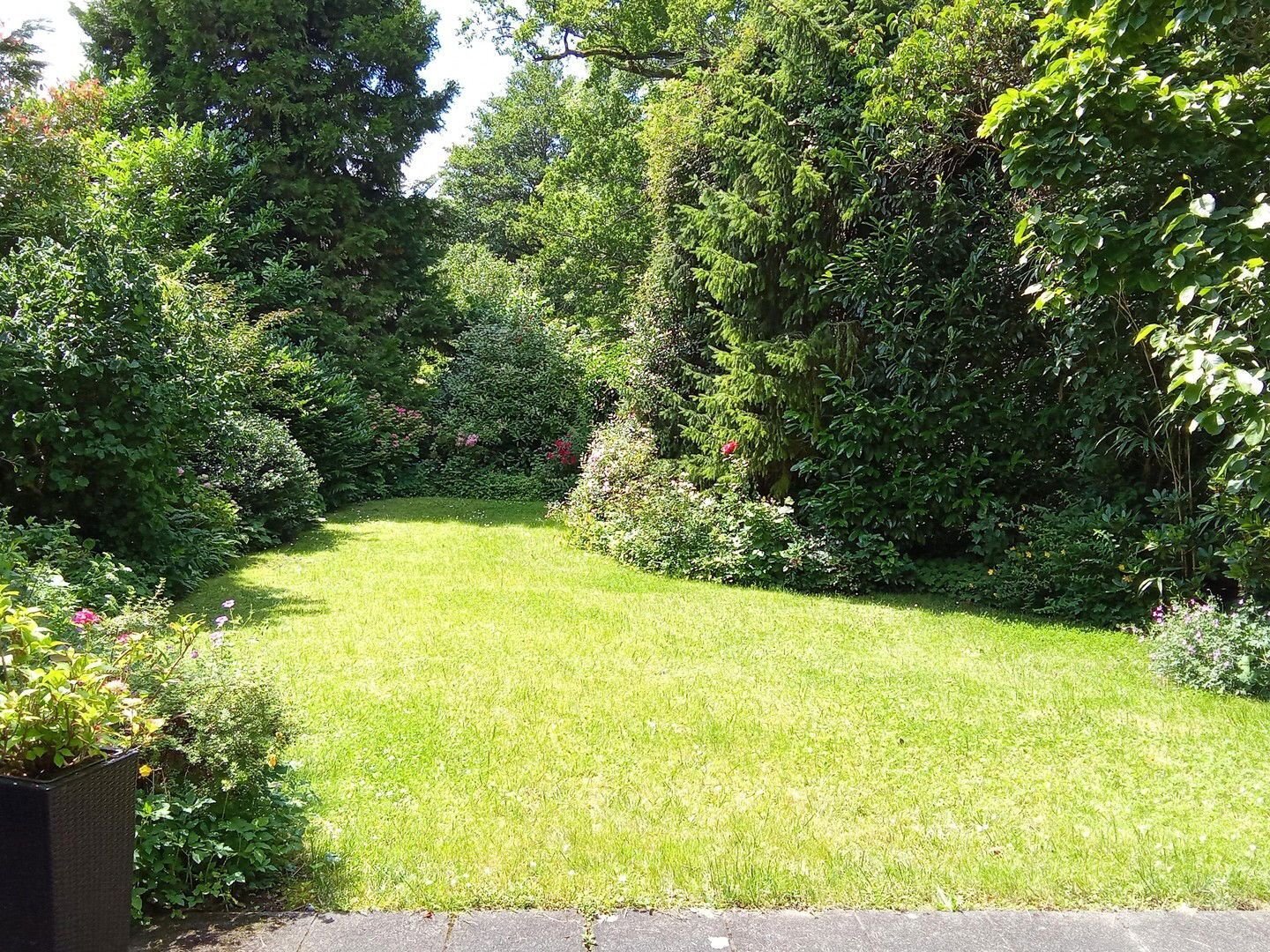 Einfamilienhaus zum Kauf provisionsfrei 1.150.000 € 6 Zimmer 146,5 m²<br/>Wohnfläche 832 m²<br/>Grundstück Froschpfad Lustheide Bergisch Gladbach 51427