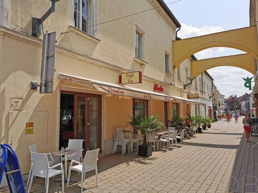 Sonstiges zum Kauf als Kapitalanlage geeignet 1.350.000 € 1.245 m² Bruck an der Leitha 2460