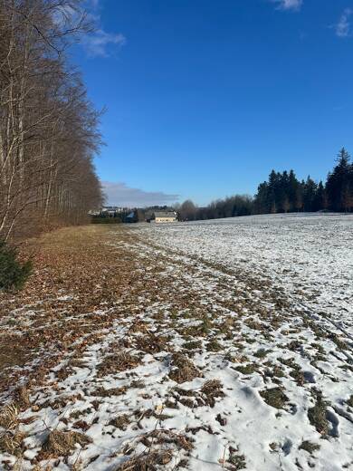 Haus zum Kauf provisionsfrei 85.000 € 6 Zimmer 120 m² 18.514 m² Grundstück Neustädtel Schneeberg 08289