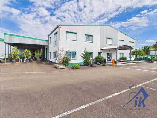Produktionshalle zur Miete 4.200 m² Lagerfläche Waldmohr 66914