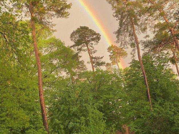 Wohnung zum Kauf provisionsfrei 499.000 € 4 Zimmer 120 m² 1. Geschoss Nordstadt Karlsruhe 76149