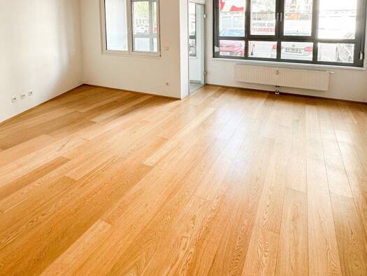 Wohnung zum Kauf 299.000 € 2 Zimmer 66,4 m² EG Zöchbauerstraße Wien 1160