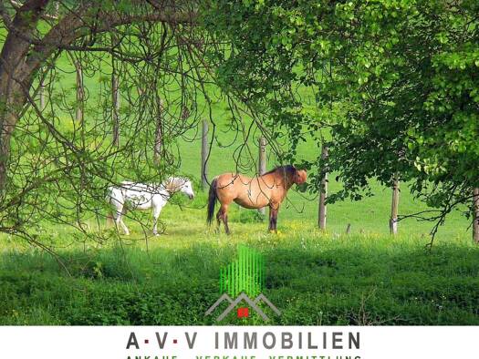 Freizeitgrundstück zum Kauf 25.000 € 13.813 m² Grundstück Westrhauderfehn Rhauderfehn 26817