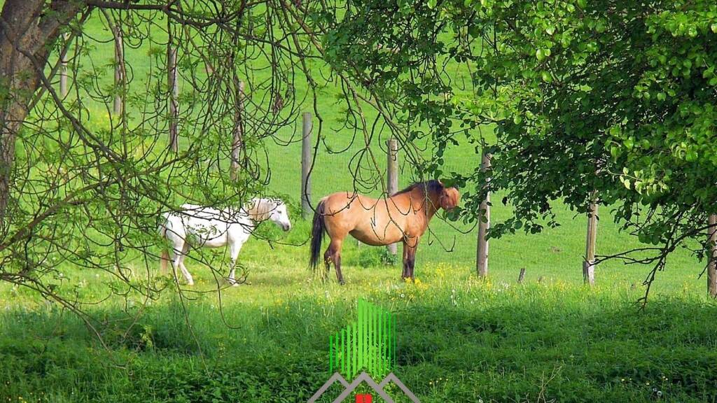 Freizeitgrundstück zum Kauf 25.000 € 13.813 m² Grundstück Westrhauderfehn Rhauderfehn 26817