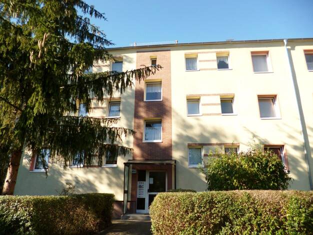 Wohnung zur Miete 394 € 3 Zimmer 56,4 m² Geschoss 2/3 frei ab 01.10.2026 Blücherstraße 10 c Bad Düben Bad Düben 04849
