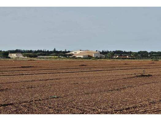 Acker-/Waldstück zum Kauf 299.000 € Llubí 07430