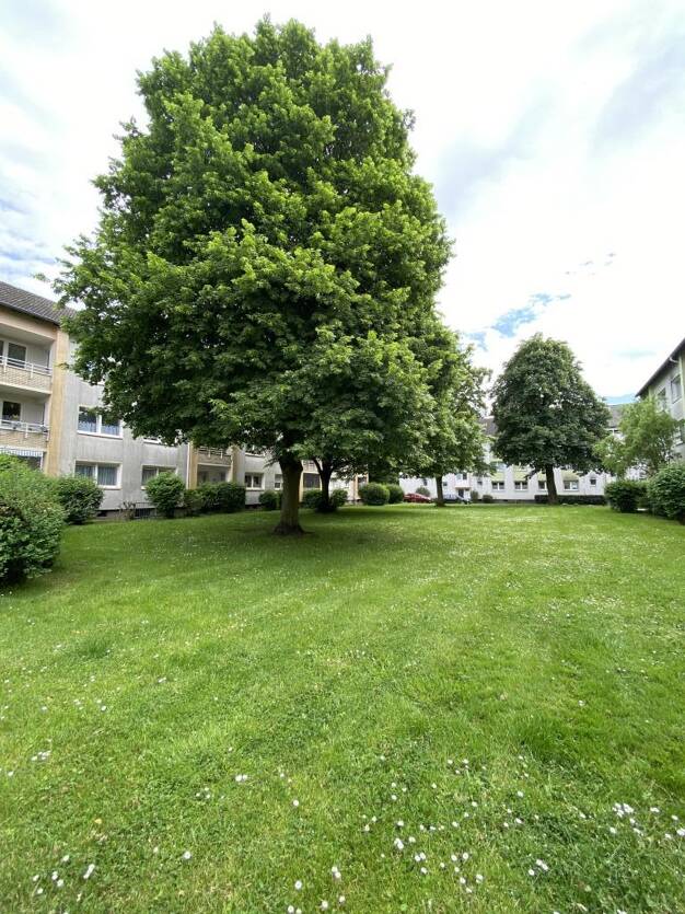 Wohnung zum Kauf provisionsfrei 155.500 € 3 Zimmer 68,3 m² EG frei ab 01.09.2025 Ripshorster Straße 342 Dellwig Essen 45357