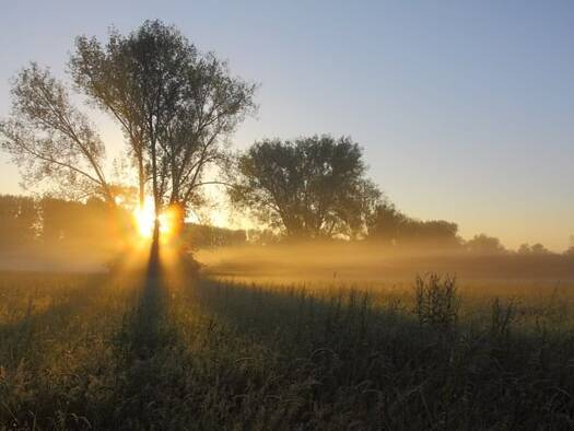 Grundstück zum Kauf 250.000 € 270 m² Grundstück Schwanheim Bensheim 64625
