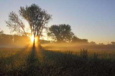 Grundstück zum Kauf 250.000 € 270 m² Grundstück Schwanheim Bensheim 64625