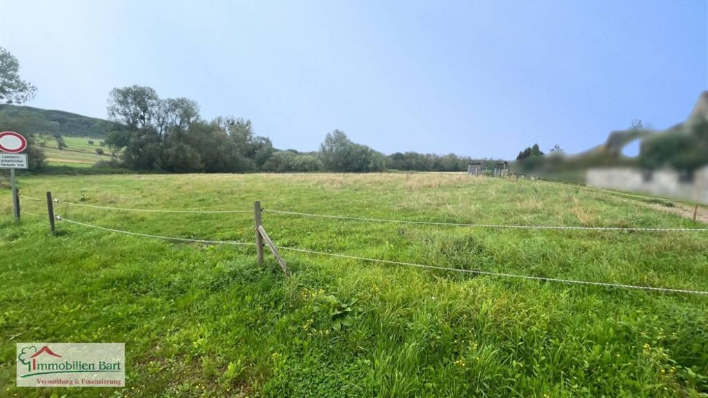 Grundstück zum Kauf 224.800 € 4.000 m² Grundstück Körrig Merzkirchen / Körrig 54439