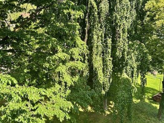 Wohnung zur Miete 587 € 60,3 m² Ludolf-Colditz-Straße 24 Stötteritz Leipzig 04299