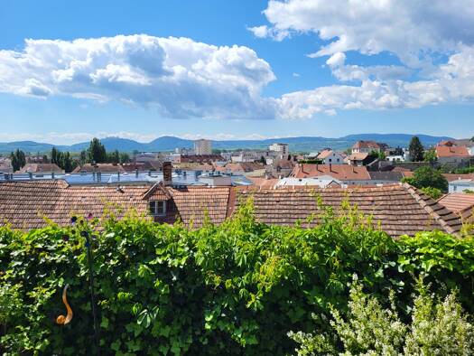 Wohnung zum Kauf 310.000 € 2 Zimmer 70,4 m² Krems an der Donau Krems an der Donau 3500