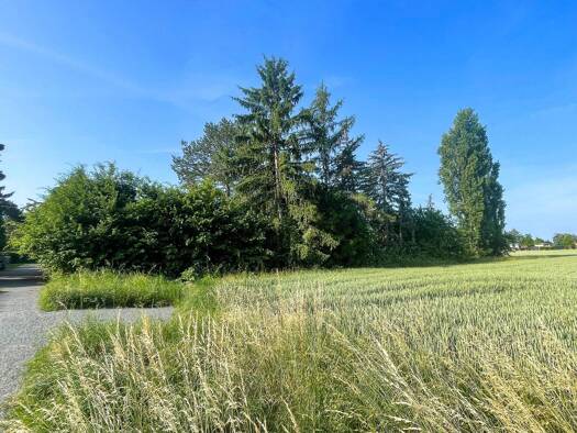 Grundstück zum Kauf 179.000 € 650 m² Grundstück Taucha 04425