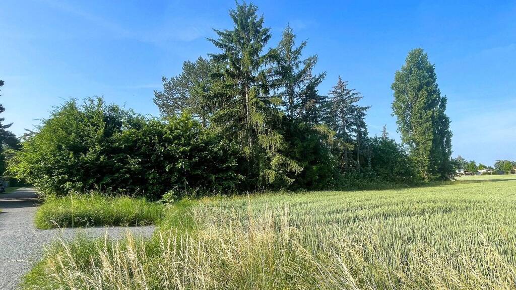 Grundstück zum Kauf 179.000 € 650 m² Grundstück Taucha 04425