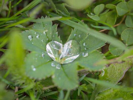 Wohnung zur Miete 545 € 2 Zimmer 59,8 m² 1. Geschoss frei ab sofort Tiriotstraße 45 Französisch Buchholz Berlin 13127