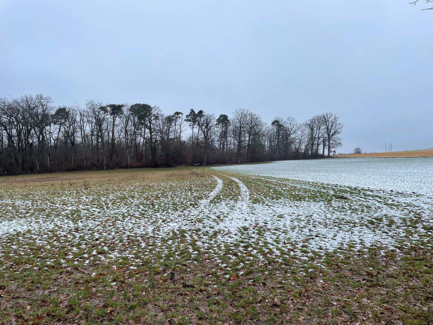 Landwirtschaftliche Fläche zum Kauf - Ansicht 4