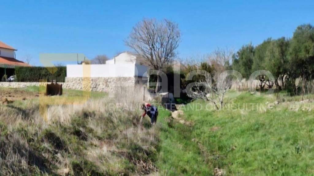 Land-/Forstwirtschaft zum Kauf 193.000 € Rab