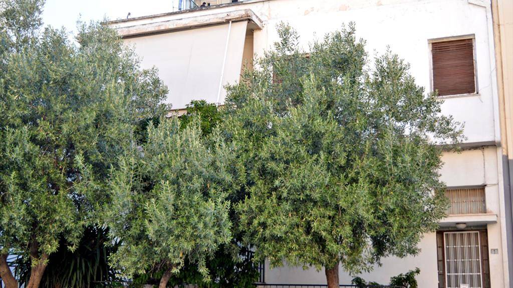 Einfamilienhaus zum Kauf 795.000 € 6 Zimmer 300 m² 300 m² Grundstück Athen