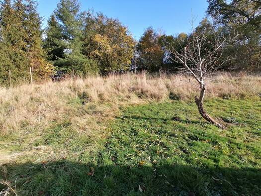 Grundstück zum Kauf 25.000 € 787 m² Grundstück Mochau Döbeln 04720
