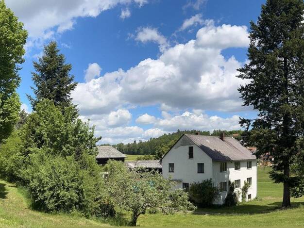 Bauernhaus zum Kauf 340.000 € 12 Zimmer 291,4 m² 12.400 m² Grundstück frei ab sofort Höchstädt 95186
