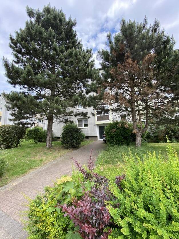 Wohnung zum Kauf provisionsfrei 139.900 € 3 Zimmer 68,3 m² 1. Geschoss Ripshorster Straße 344 Dellwig Essen 45357