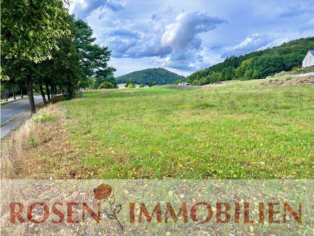 Grundstück zum Kauf 73.000 € 613 m² Grundstück frei ab sofort Unter-Schönmattenwag Wald-Michelbach 69483
