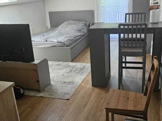 Wohnung zur Miete 360 € 1 Zimmer 30 m² 1. Geschoss Ehrenhausen an der Weinstraße 8461