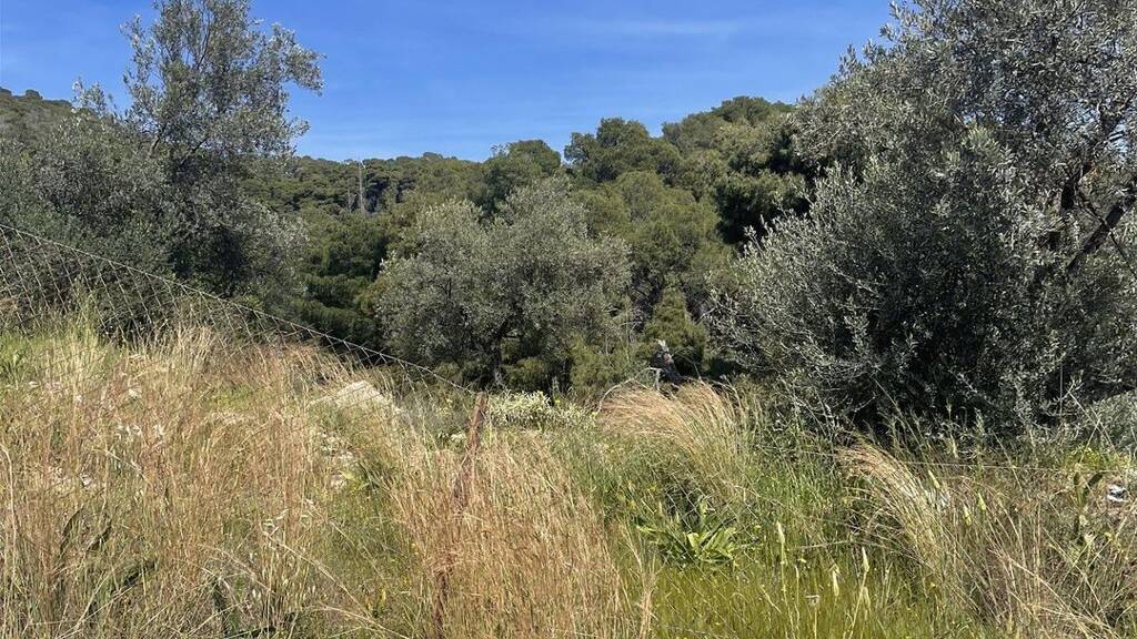 Grundstück zum Kauf 150.000 € 532 m² Grundstück Poros Trizinias 18020