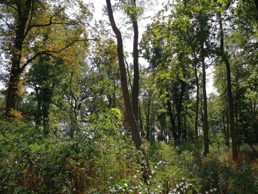 Grundstück zum Kauf 1.600 m² Grundstück Teltow 14513