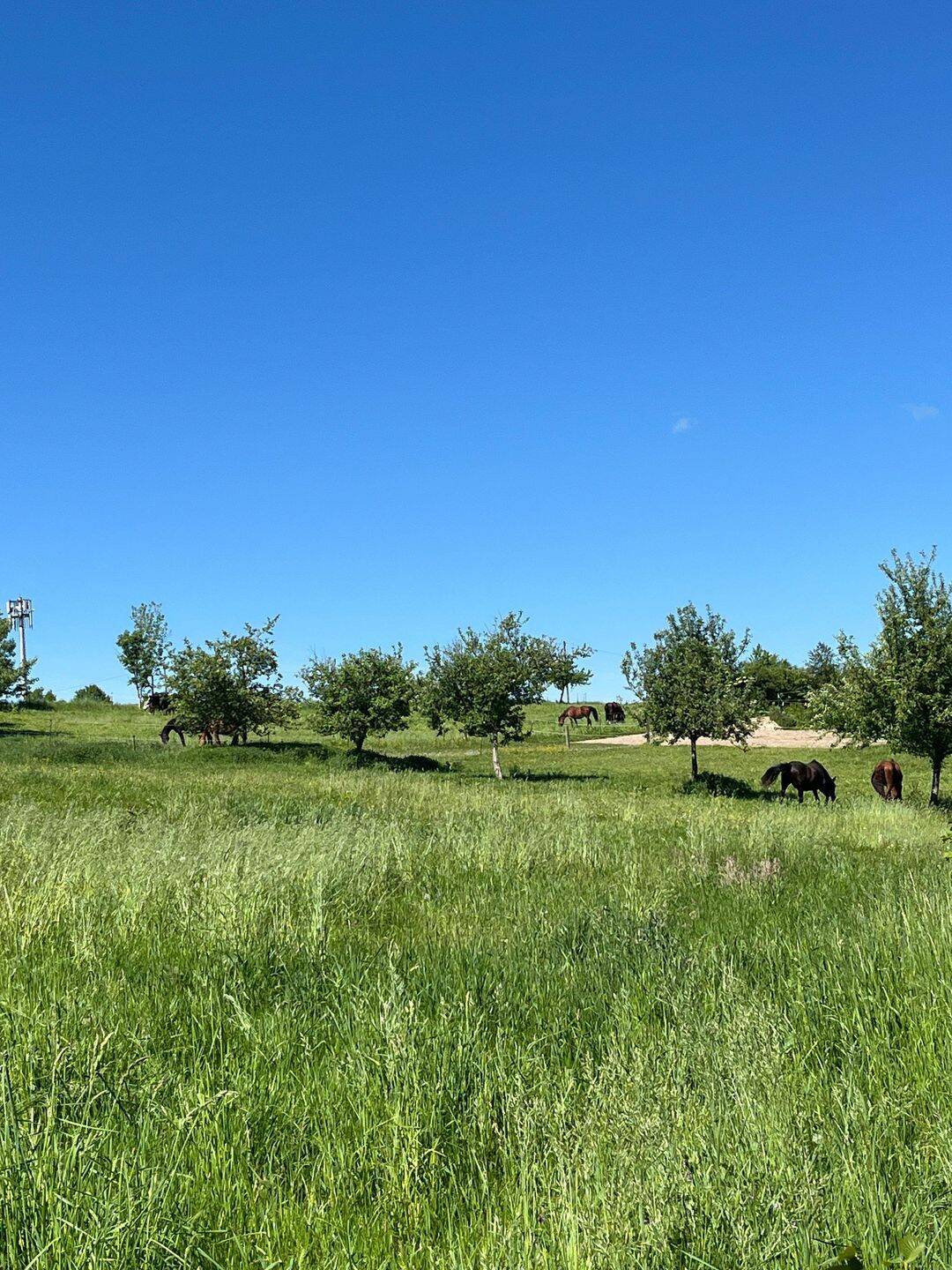 Bauernhof zum Kauf - Ansicht 6